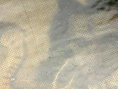 SN36971
