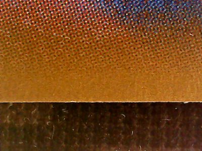 SN36981