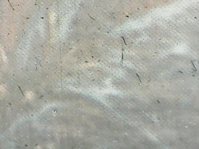 SN36991
