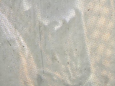SN36992