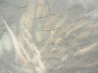 SN36992