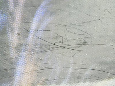 SN36992