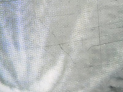 SN36992