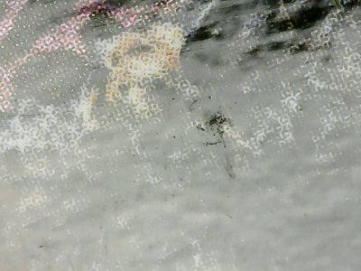 SN37042