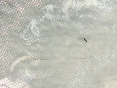 SN37042
