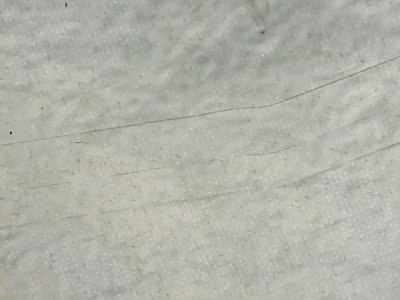 SN37042