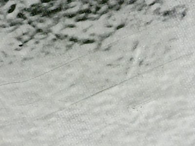 SN37042