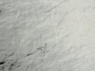 SN37042