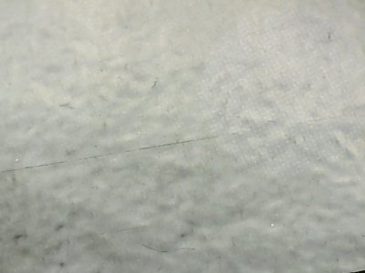 SN37042