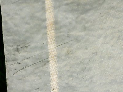 SN37043