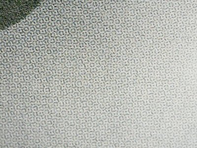 SN37050