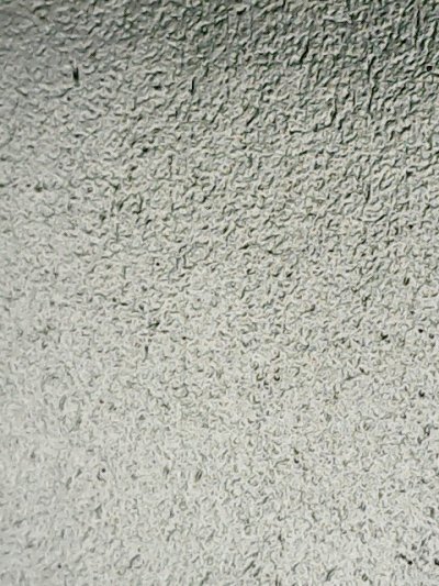 SN37079