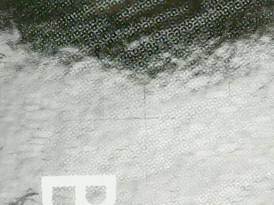 SN37009