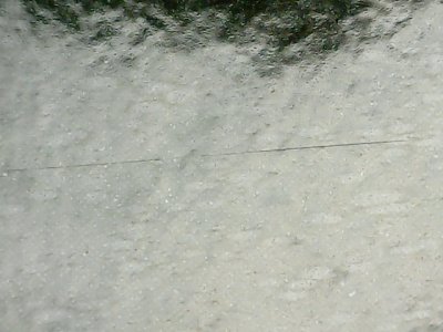 SN37009