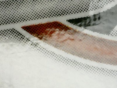 SN37011