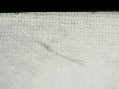 SN37013