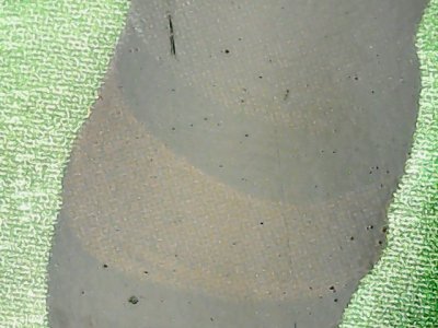 SN37220