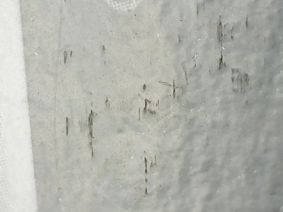 SN37220