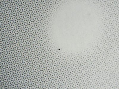 SN37223