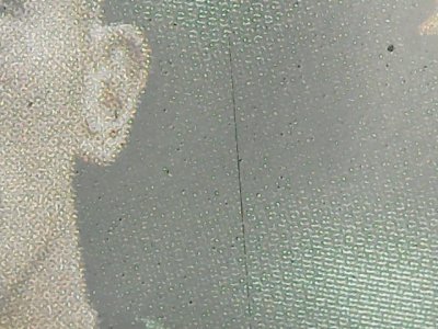 SN37233