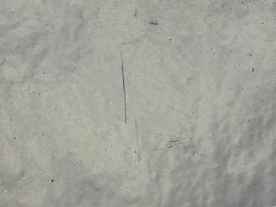 SN37233