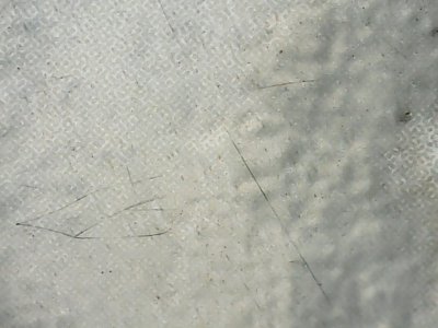 SN37235