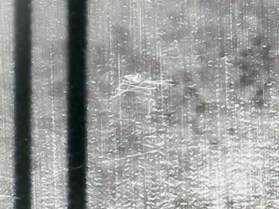 SN37237