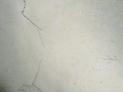 SN37238