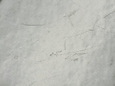 SN37238
