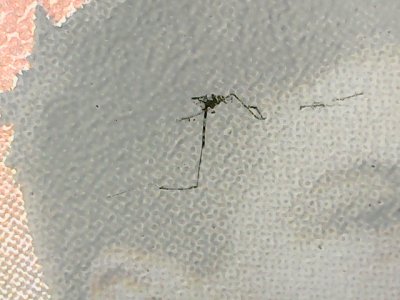 SN37239