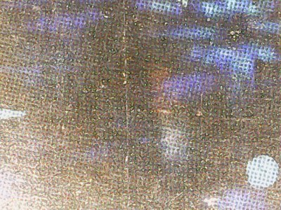 SN37255