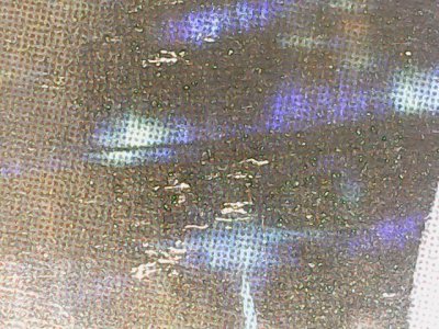SN37255