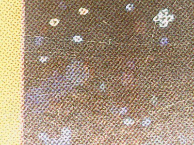SN37253