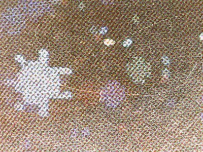 SN37253