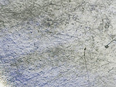 SN37253