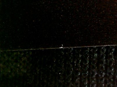 SN37289
