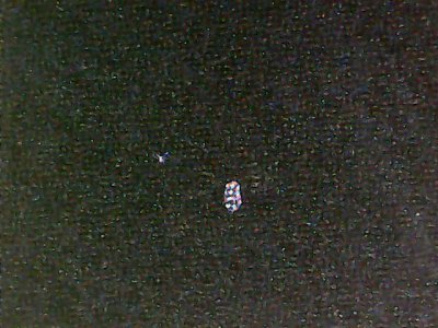 SN37319