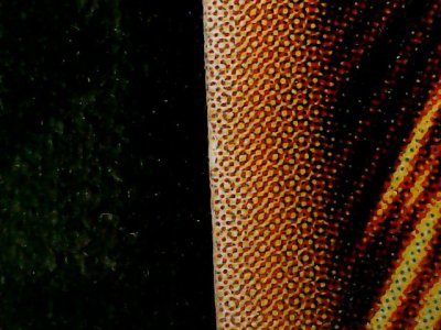 SN37320