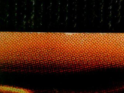 SN37321