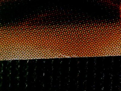 SN37328