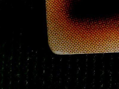 SN37330