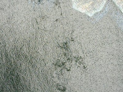 SN37331