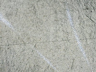 SN37331
