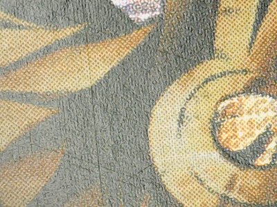 SN37334