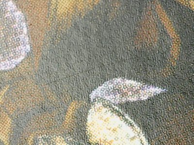SN37334