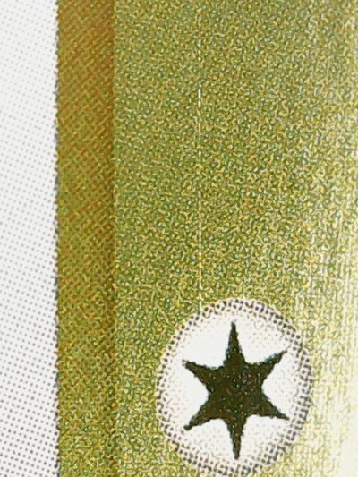 SN37393