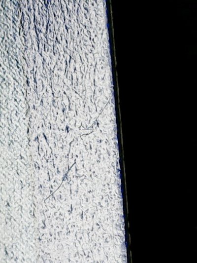 SN37424