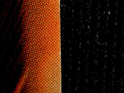 SN37468