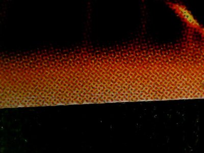 SN37468
