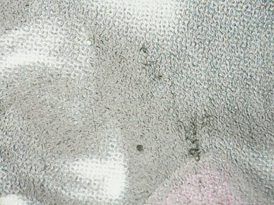 SN37469